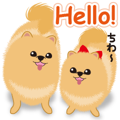 ポメ親子　リーナ＆ヒメ