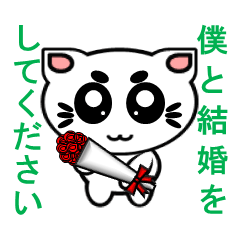 にゃん化け君のプロポーズ大作戦