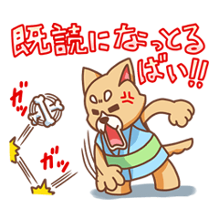 九州弁犬