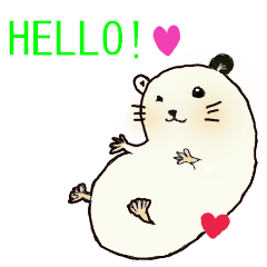 ハムスターのゆきち