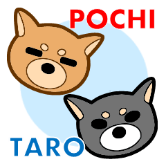 柴犬ポチとタロ