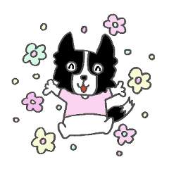 ボボボボボーダーコリー コリさん