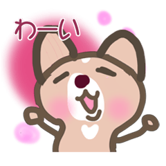 子犬のチワワのチワワン