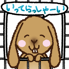お留守番アメファジくーちゃん