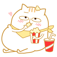 Fat cat PUJI