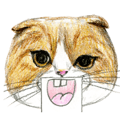 Hey! にゃんこ!