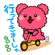 甘えんぼーのプードルくまチャン
