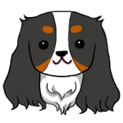 キャバリアのトラくん