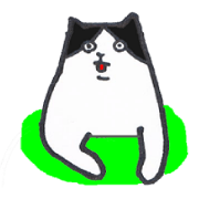ハチという猫です。