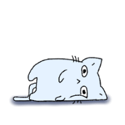 水色の猫