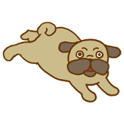 まさQのパグライフ