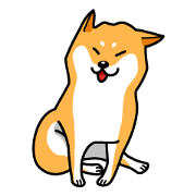 柴犬元気