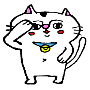 猫のなっちゃん