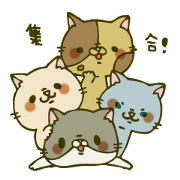 にゃんこすたんぷ