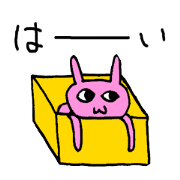 どうしても箱から出たがらないネコとウサギ