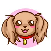 tea cup poodle