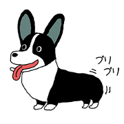 ハッピーコーギー