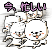 俊敏すぎるネコ。