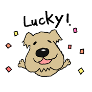 Kawaii dogs (Only English)