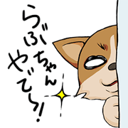関西弁コーギー らぶちゃん