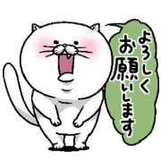 後輩のもっちりネコ