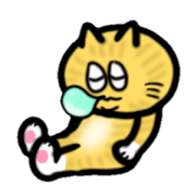 あいさん
