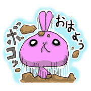 ピンクうさぎだよん
