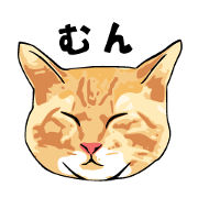 まったり猫