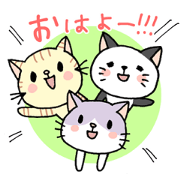猫ねこガールズ