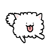 ポメラニアンのぷうたくん。