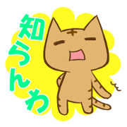 ちゃんねこ　流行語