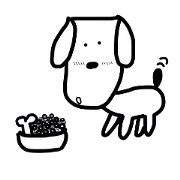 わんことたまーにカメ