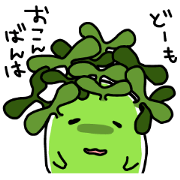 さぼ丸 2