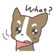 かわいい子犬達