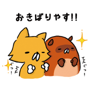 コンポコ京都
