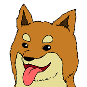 柴犬のゆかいな生活