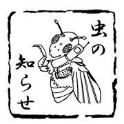 おもしろ　ことわざスタンプ