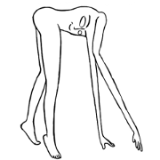 ぼでぇさん