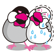 仲良し!?文鳥
