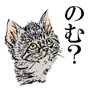 イヌネコはんこ風
