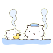 なんかしてるネコ