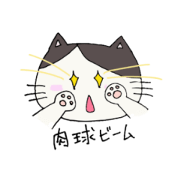 シチサンカットねこ