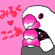 ミルク & ココア