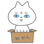 猫っぽいしろいねこ