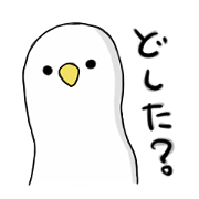 白いトリ