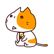 ミケの日常