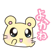 博多っ子はむすたぁ