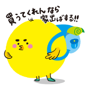 博多んひよこ２