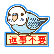 セキセイインコだらけ2