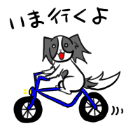 へたれパピヨン